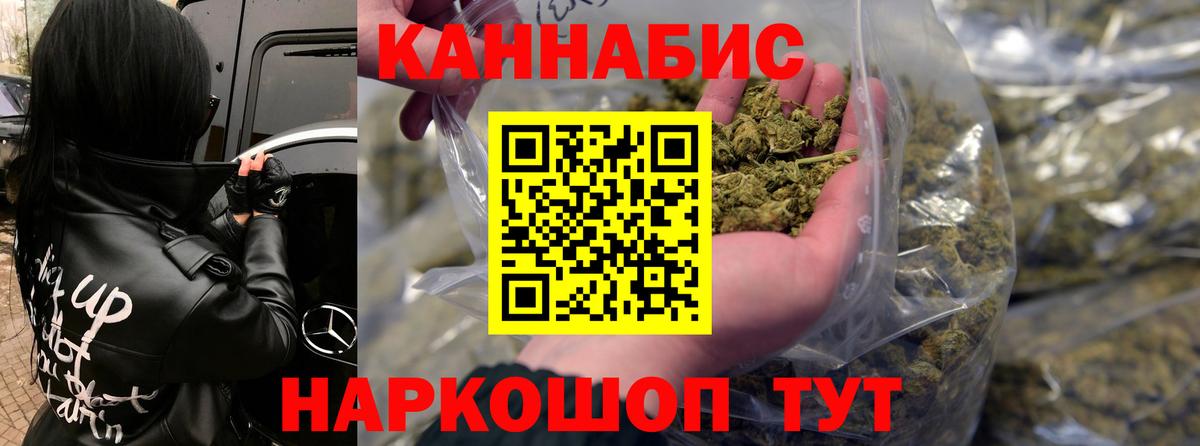Конопля планчик Сунжа